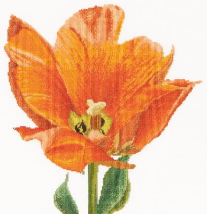 Tulipano Trionfo Arancione Da Thea Gouverneur Fiori E Frutti Kit